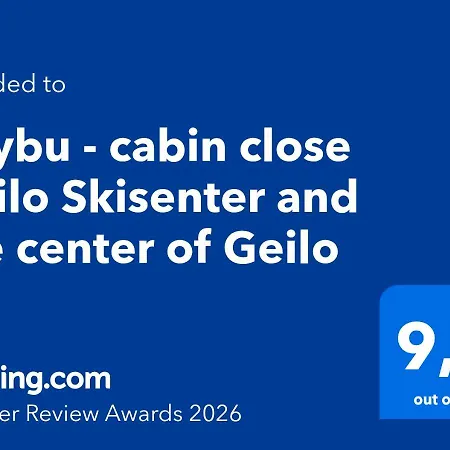 Baybu - Close Skisenter And The Center Of Geilo