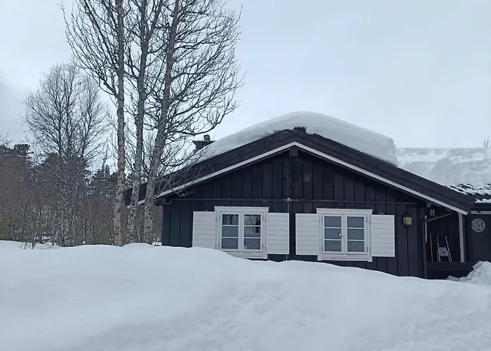 Baybu - Close Skisenter And The Center Of *