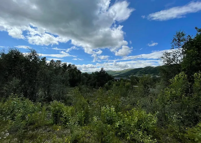 Baybu - Close Skisenter And The Center Of Geilo