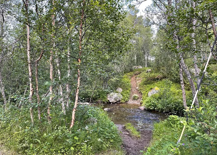 Baybu - Close Skisenter And The Center Of Geilo