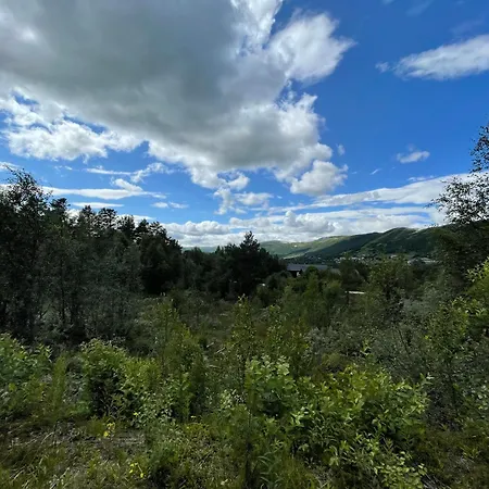 Baybu - Close Skisenter And The Center Of Geilo